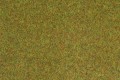 Meadow mat light green 75 x 100 cm